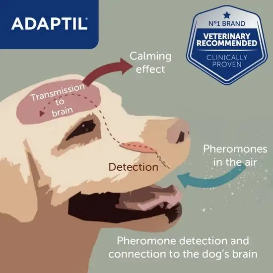 Adaptil  Calm Plug-in Home Diffuser Starter Kit for Dogs