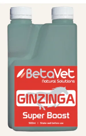 Betavet Ginzinga