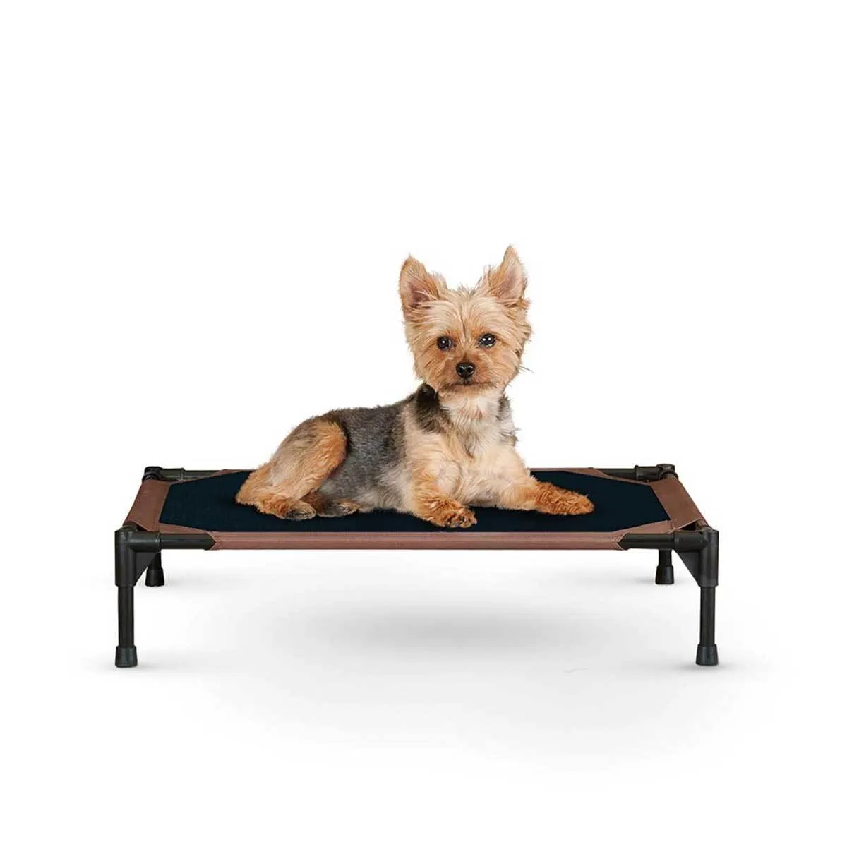 Chocolate Brown Dog Cot with Waterproof Fabric - Small