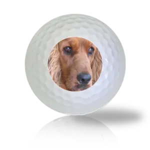 Cocker Spaniel Golf Balls
