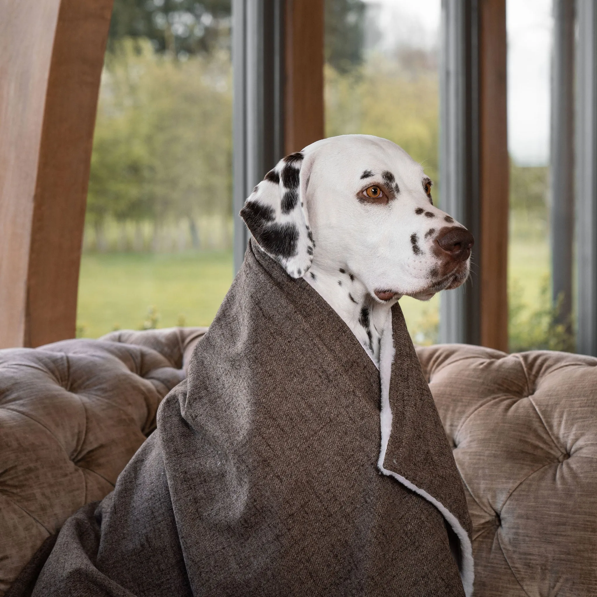 Dog & Puppy Blanket in Inchmurrin Umber by Lords & Labradors