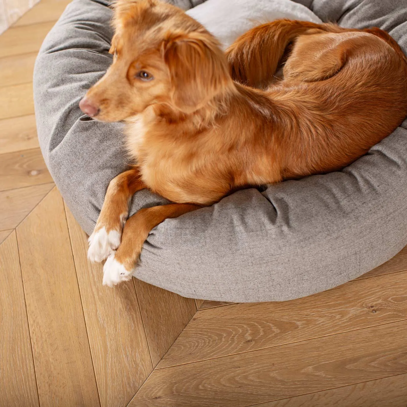 Donut Bed With Removable Covers in Inchmurrin Ground by Lords & Labradors
