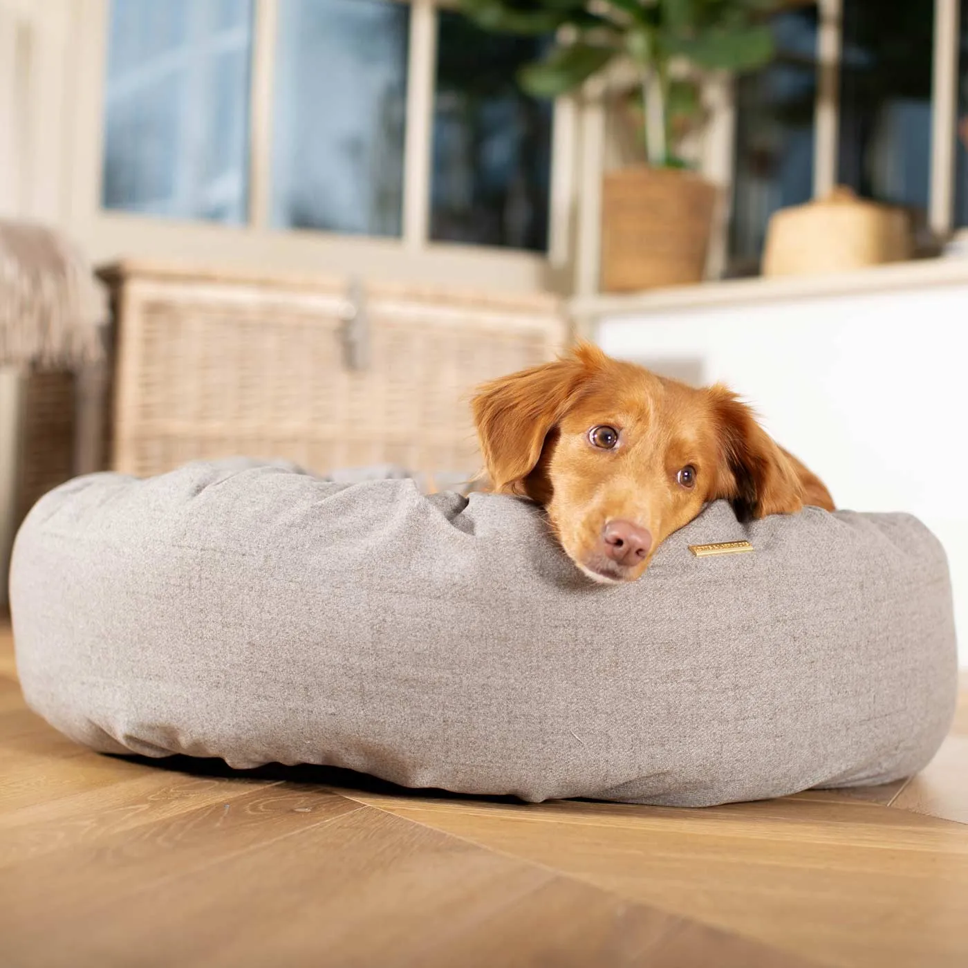 Donut Bed With Removable Covers in Inchmurrin Ground by Lords & Labradors
