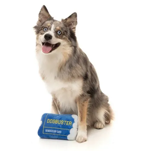 Fuzzyard Dogbuster Card Dog Toy