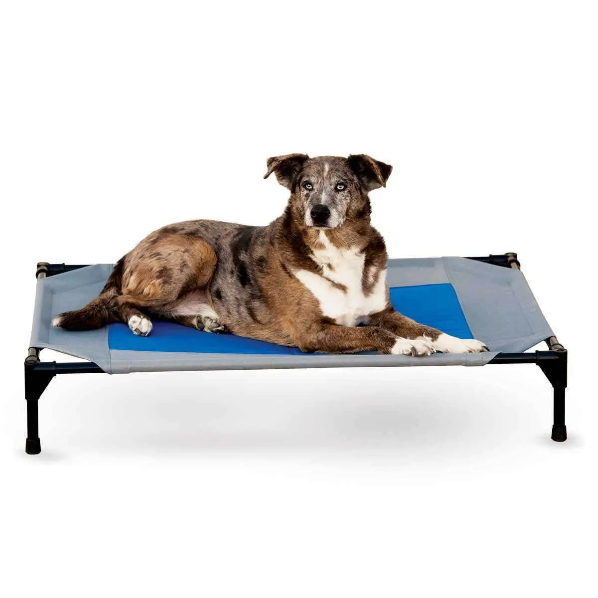 Gray Blue Cooling Dog Cot with Waterproof Fabric - Medium