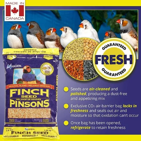 Hagen Finch Staple VME Seed