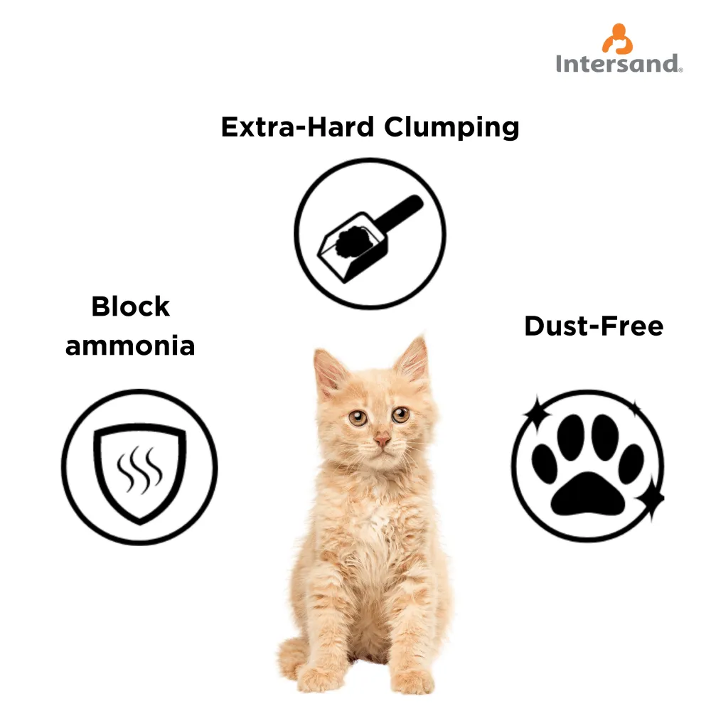 Intersand Cat's Exclusive Sodium Bentonite Sand & Baby Powder Scented Cat Litter