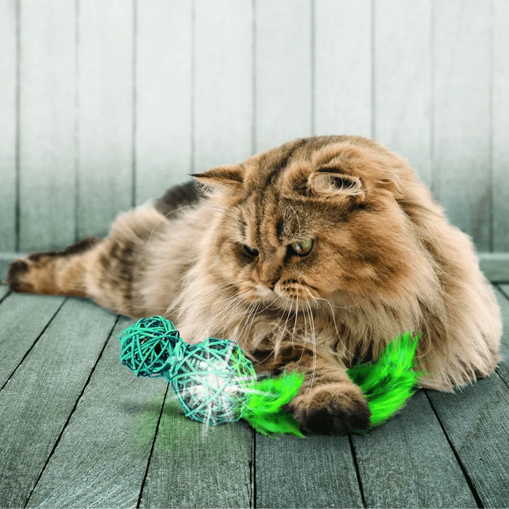 Kong Wubba Wicker Toy for Cats
