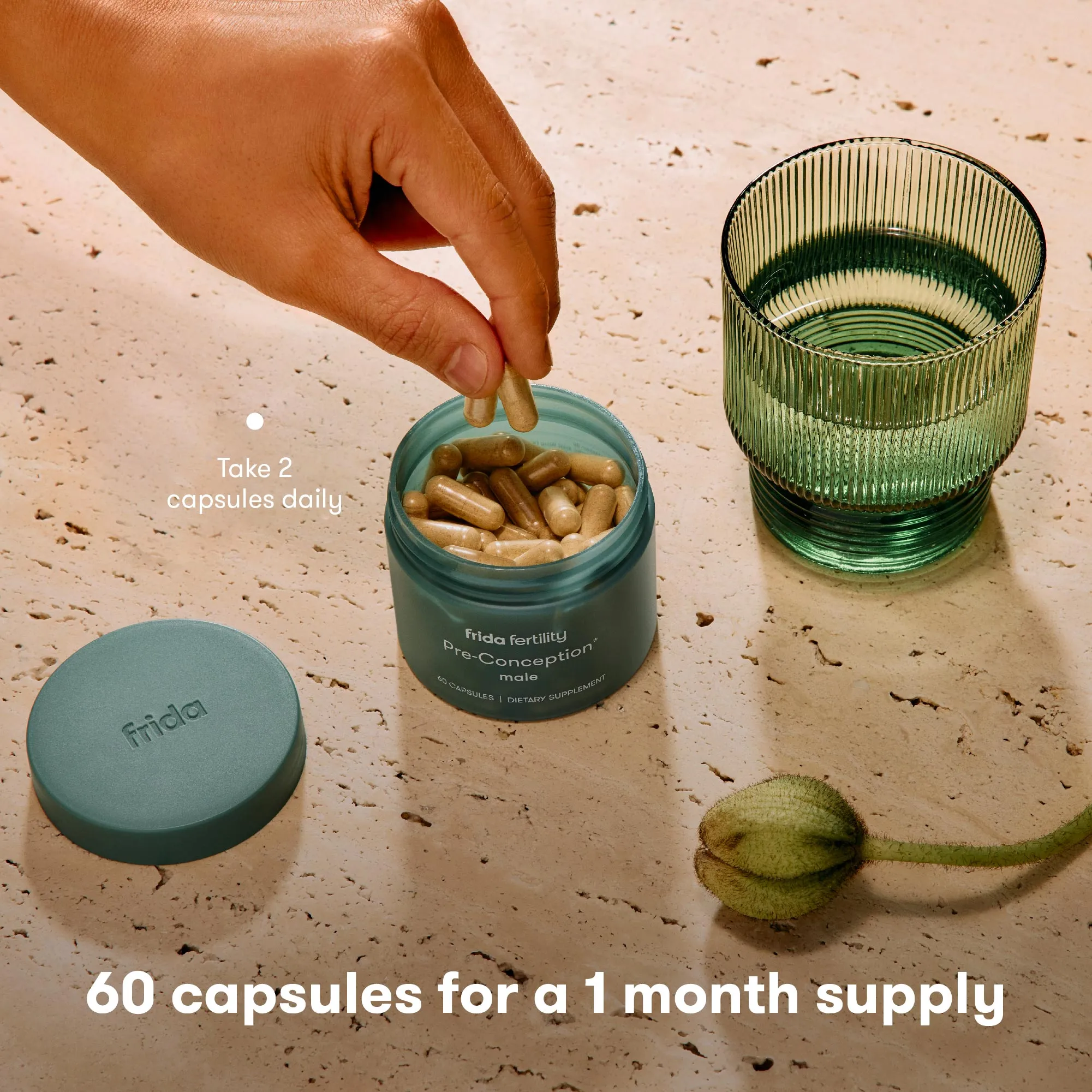 Male Pre-Conception Supplements