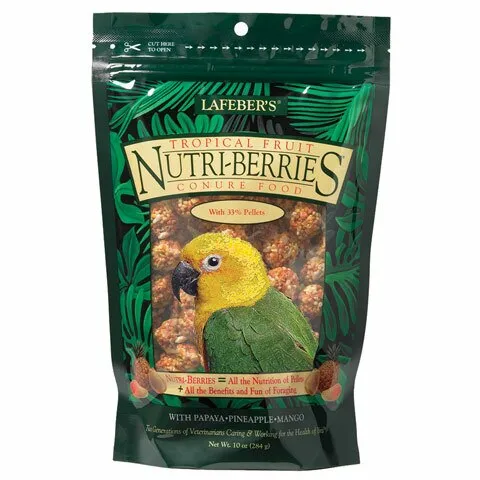 Nutri-Berries Tropical Fruit Conure