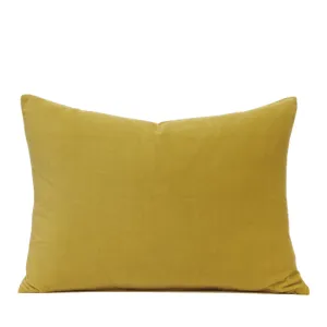 Plush in Golden Light Pillow