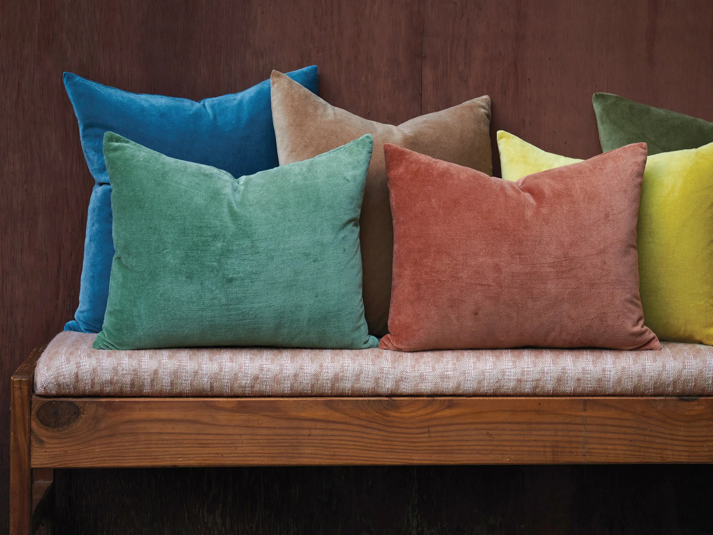 Plush in Golden Light Pillow