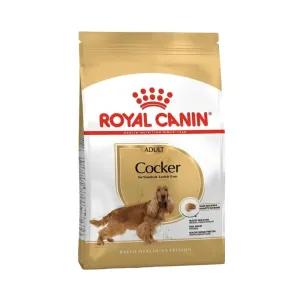 Royal Canin Breed Health Nutrition Cocker Spaniel Adult Dry Dog Food 12kg