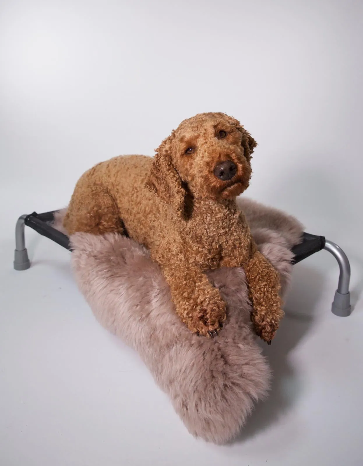 Spearmint Sheepskin