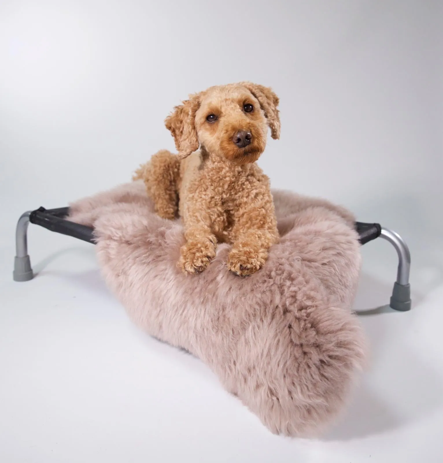 Spearmint Sheepskin