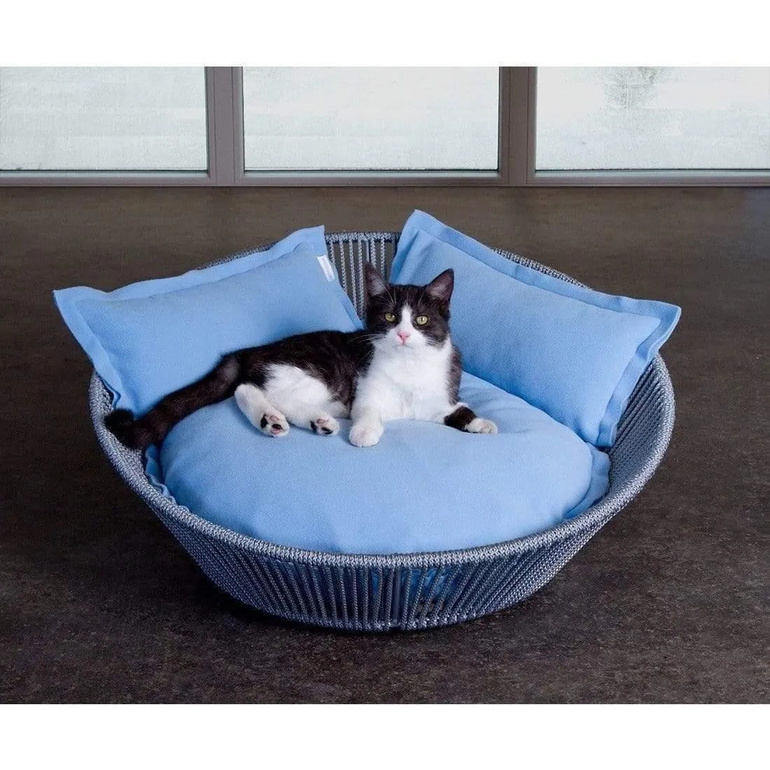 The Siro Twist By Pet Interiors - Small Orthopaedic Dog Bed